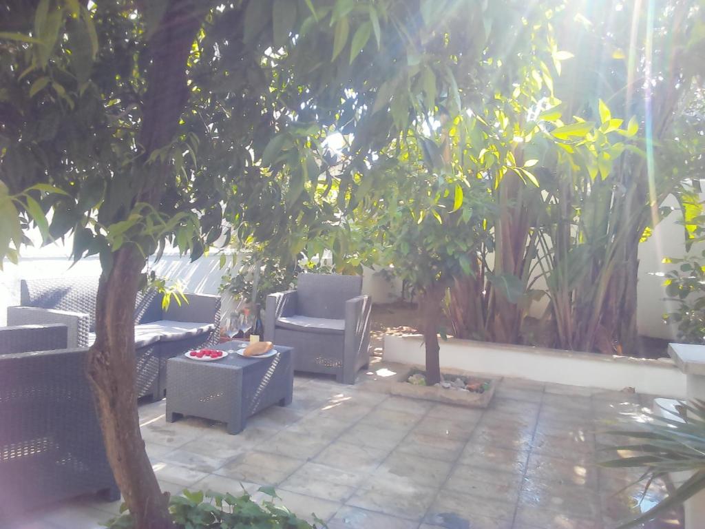 奥特朗托CASA VACANZA YDROUS的庭院设有两把椅子和一棵树