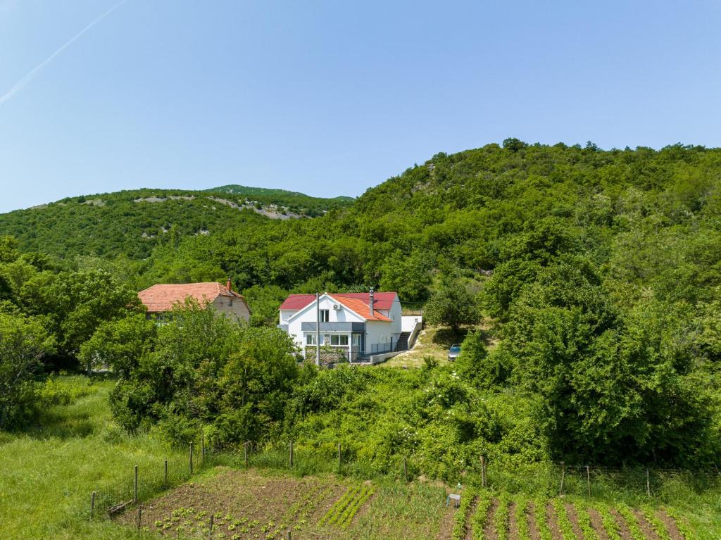 KrupaHoliday House Zrmanja Vrelo的山中的房子