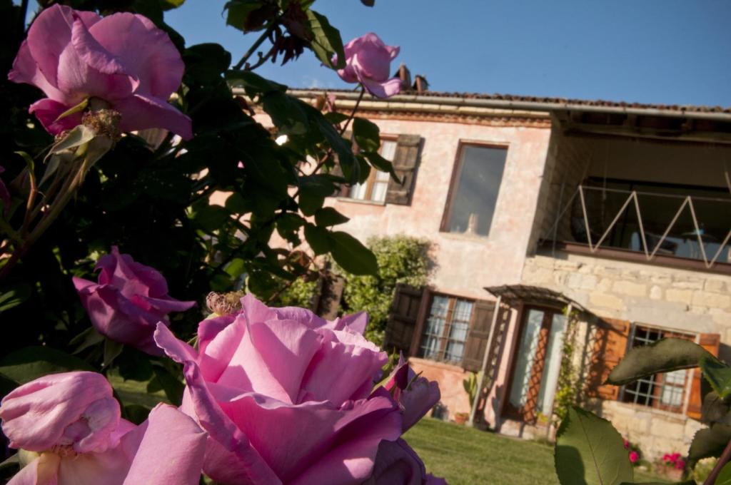 Grazzano Badoglio卡希纳罗莎住宿加早餐酒店的一座建筑物前的粉红色花