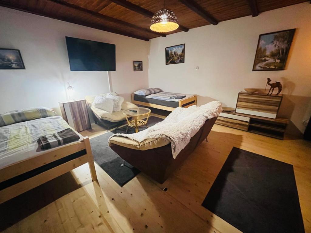 德辛Apartmá Luxura的一间带两张床和一张沙发的客厅
