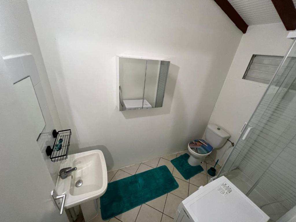 圣罗斯Paradis le Clodyo的一间带水槽、卫生间和镜子的浴室