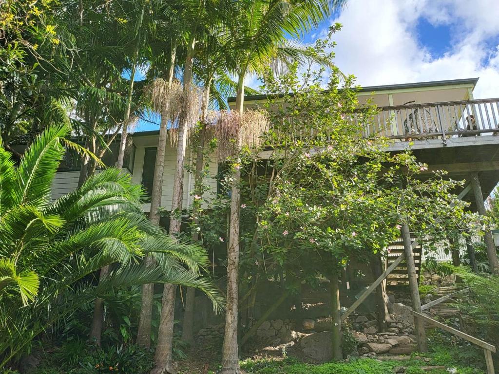 旺阿雷Hatea Treehouse的带阳台和棕榈树的房子