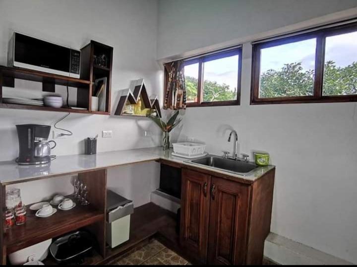 迦太基Cabaña Bambú的带水槽和柜台的厨房以及2扇窗户。
