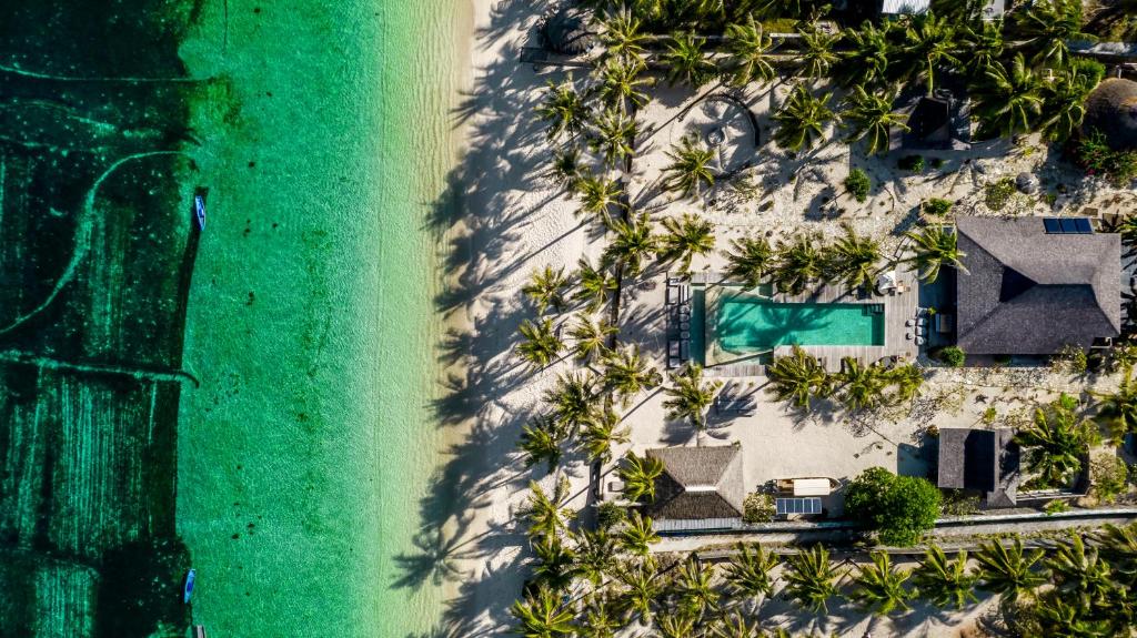 内布拉拉Seed Resort的享有棕榈树海滩和房屋的顶部景致