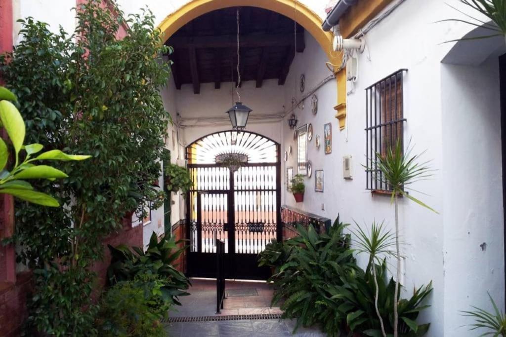 Típico y pintoresco patio de vecinos, con encanto外面的花园