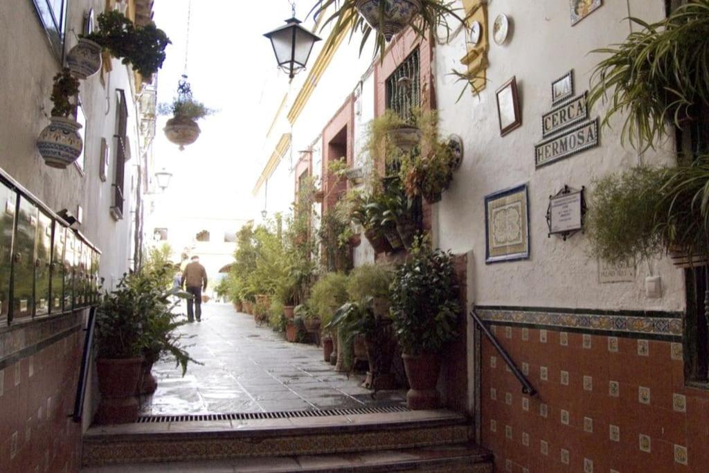 Típico y pintoresco patio de vecinos, con encanto平面图