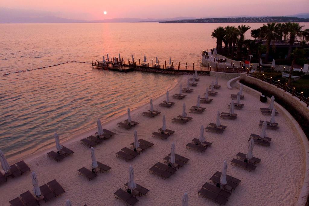切什梅Reges, a Luxury Collection Resort & Spa, Cesme的一群桌子和椅子在靠近水面的海滩上