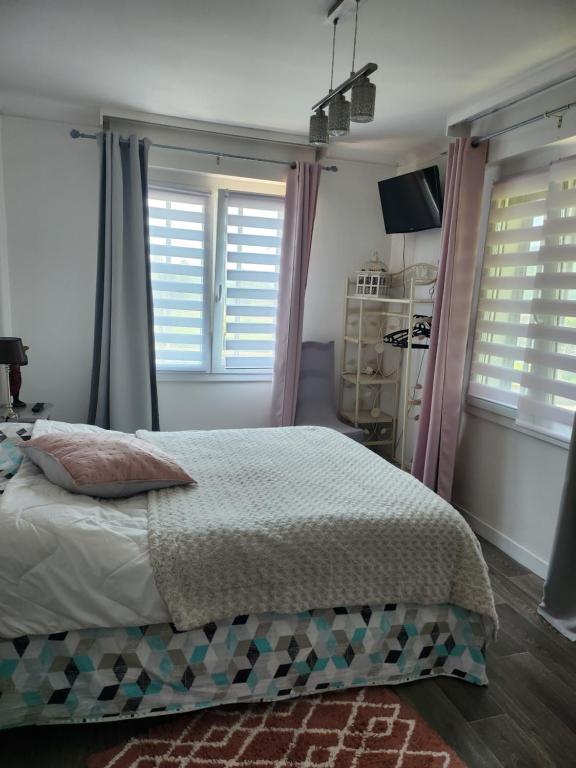 Provenchères-sur-FaveLe domaine de shania的一间卧室配有床,两扇窗户配有百叶窗