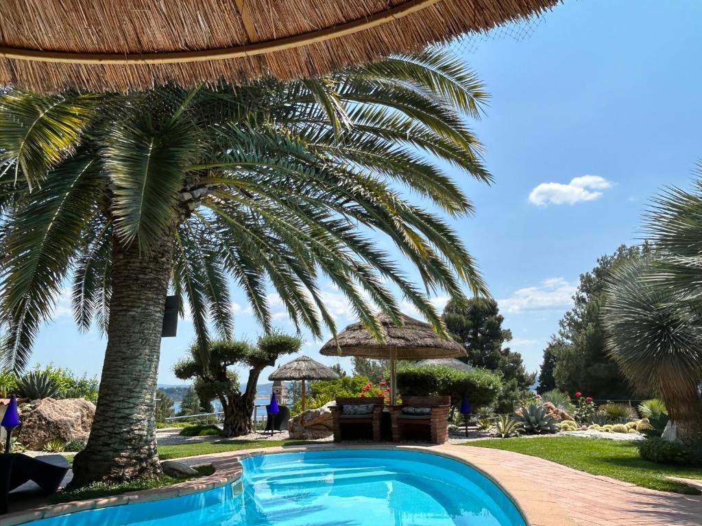 波尔托罗Apartments Villa BEAUTY PORTOROŽ的度假村内棕榈树游泳池