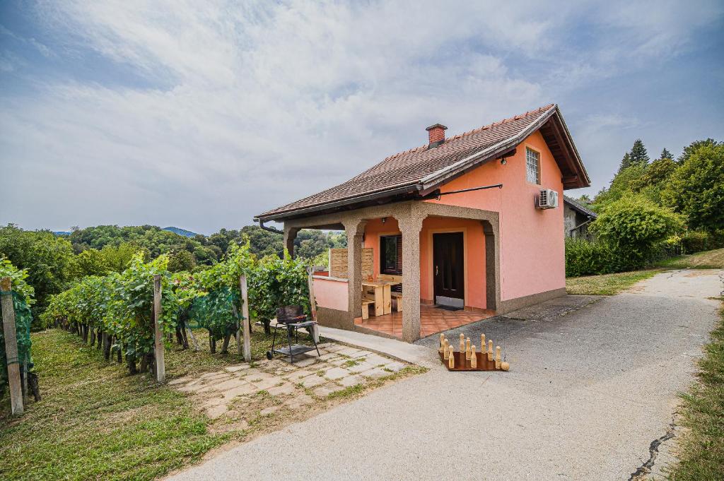 布雷日采Holiday Home Vesna with Sauna的葡萄田里的粉红色小房子