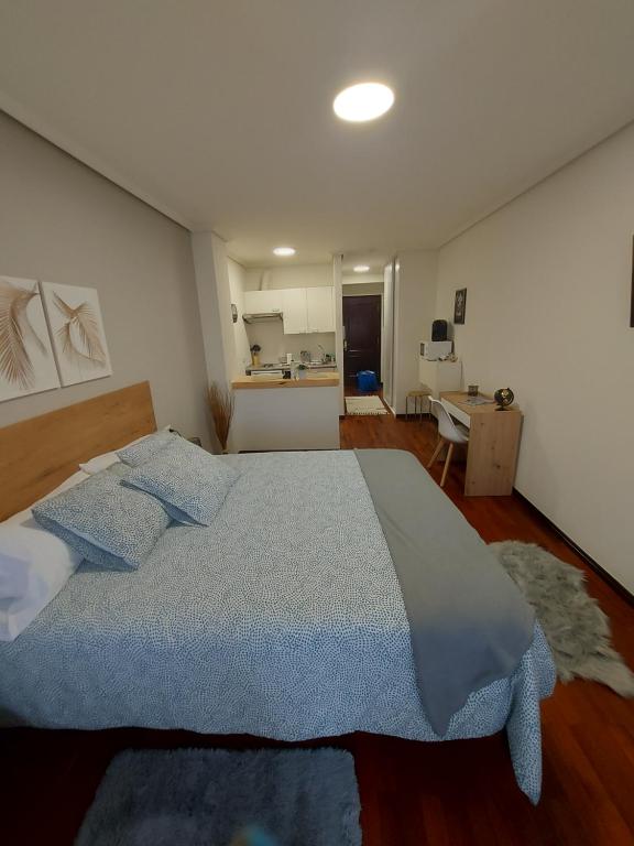 维戈La Cabaña的一间卧室配有一张带蓝色枕头的大床