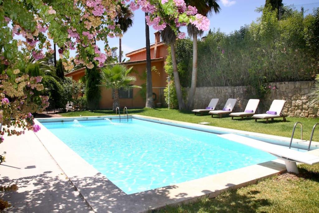 科尔多瓦La Casita de Teresa的庭院内的游泳池,带椅子和鲜花