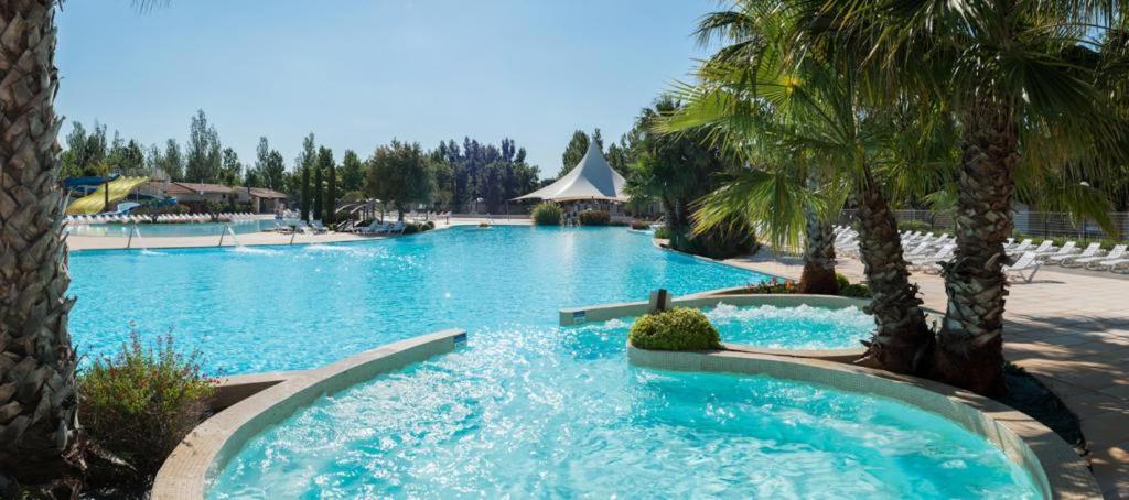 维亚斯La Carabasse的一座拥有蓝色海水和棕榈树的大型游泳池