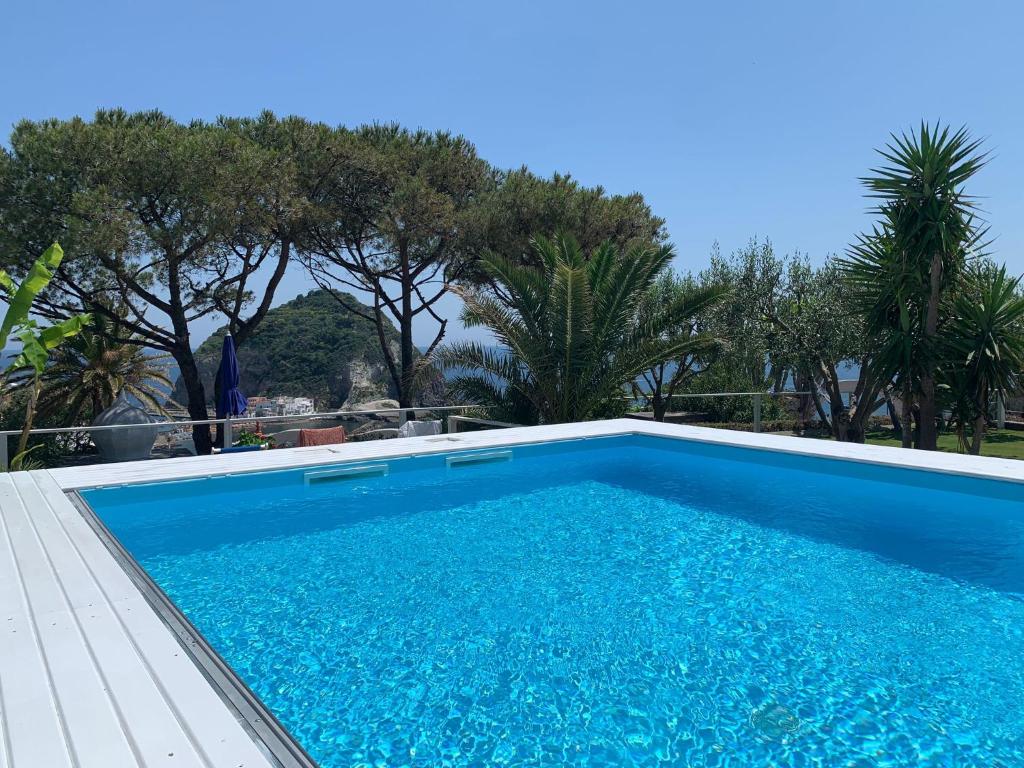 伊斯基亚Hotel Casa Adolfo Ischia的一座绿树成荫的蓝色游泳池