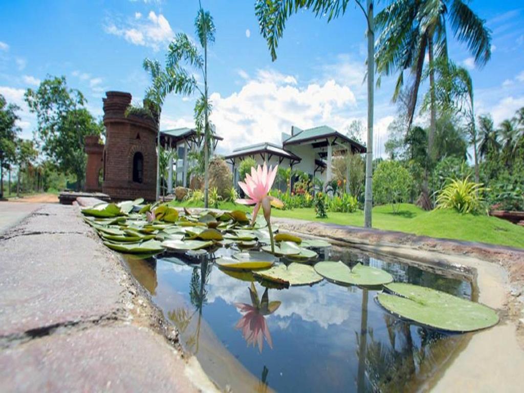 波隆纳鲁沃查雅遗址酒店的堆满百合花垫的池塘