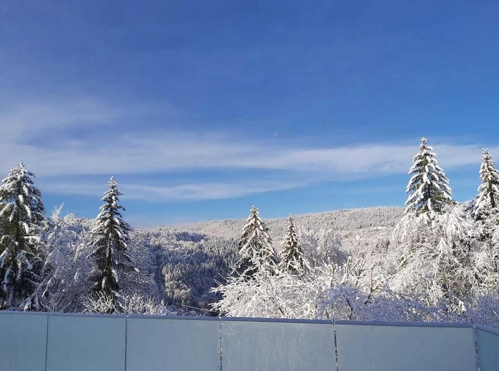 莫尔比耶Chez Lily et Bruno的被雪覆盖的山,有树木和栅栏