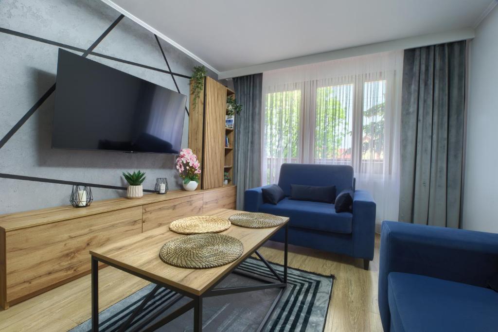 瓦多维采Apart Dwudziestolecie的客厅配有电视和蓝椅