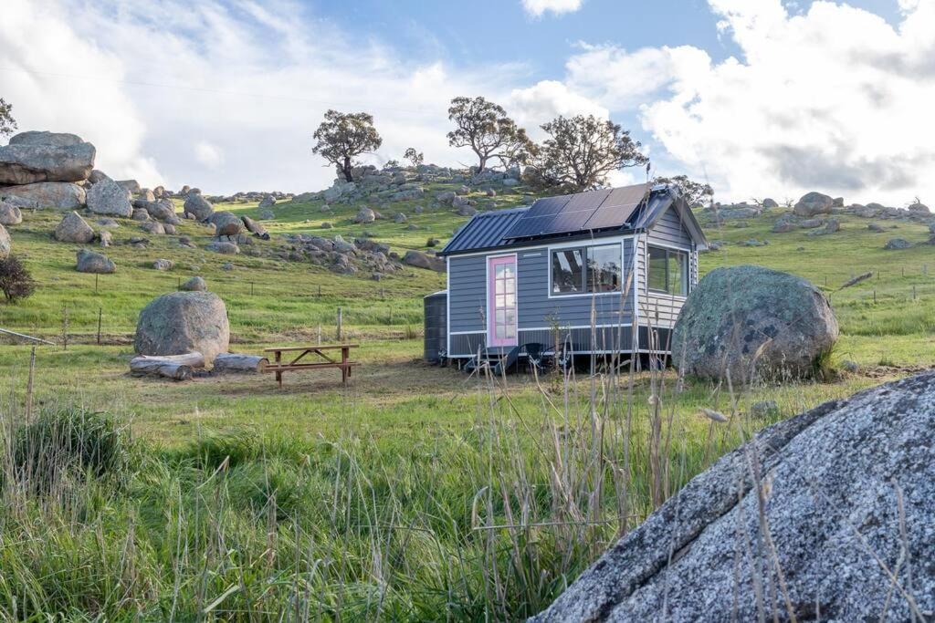 TooboracHeathcote Valley Tiny House - Tiny Stays的草地上的小房子,有巨石