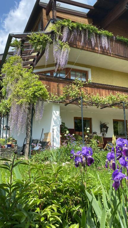 FresachWohnung in Kärnten Nähe Millstättersee的一座花园,在房子前面种有紫色的花朵