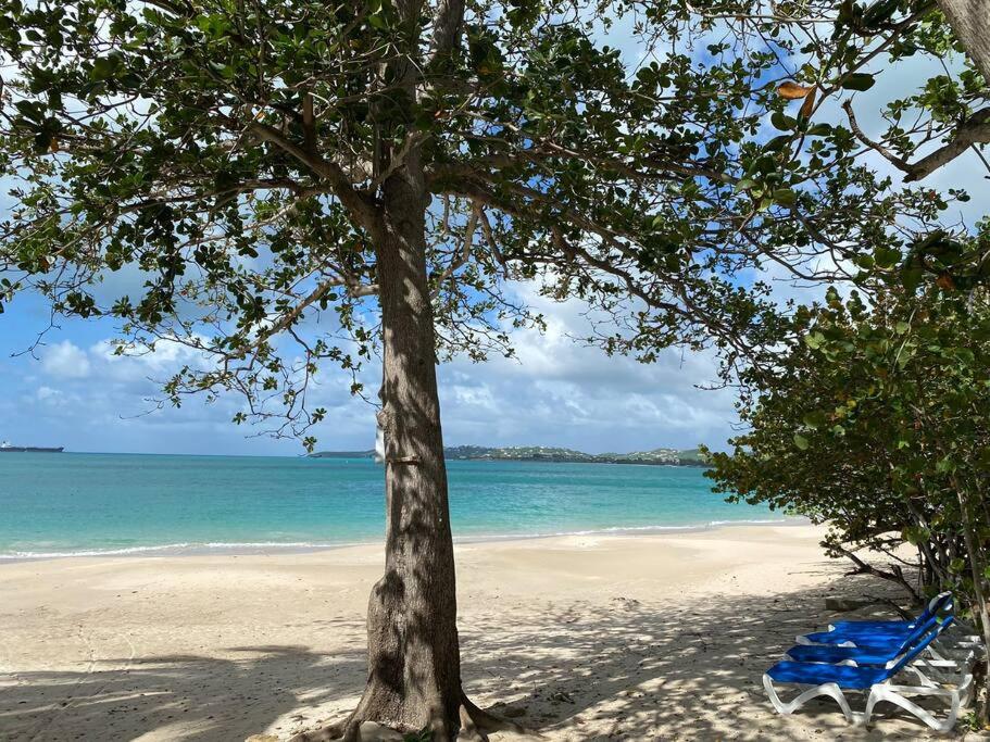 Five Islands VillageBeach Villa的沙滩上的蓝椅和一棵树