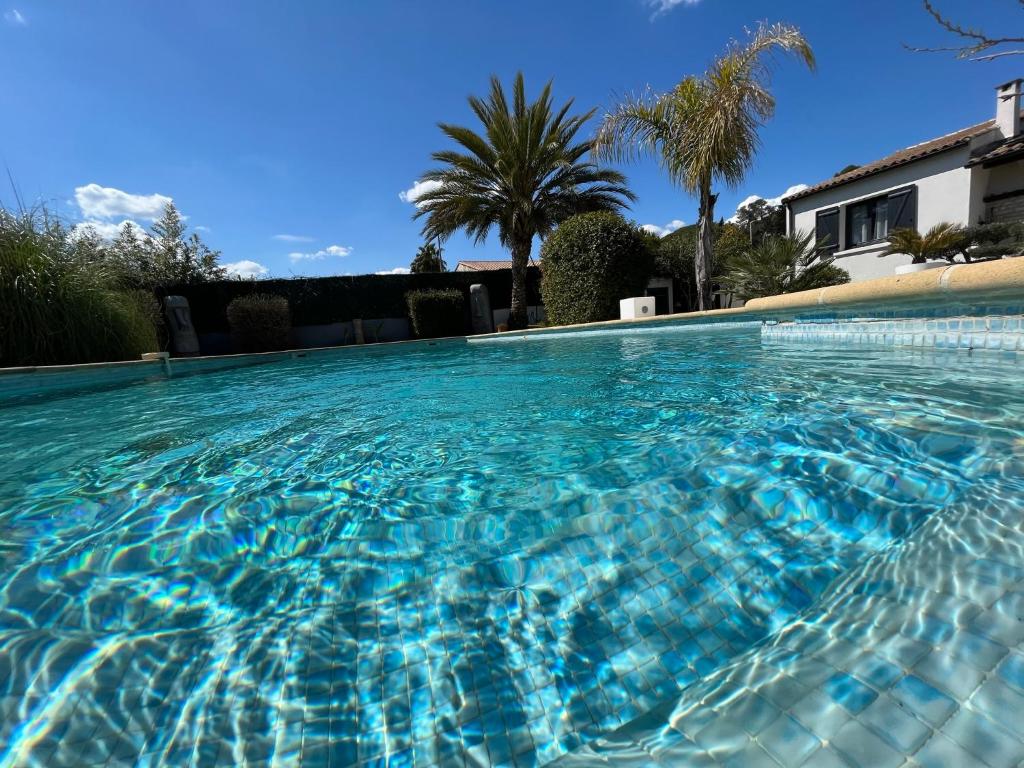 CongénièsLe n°X的一座种植了棕榈树的蓝色游泳池