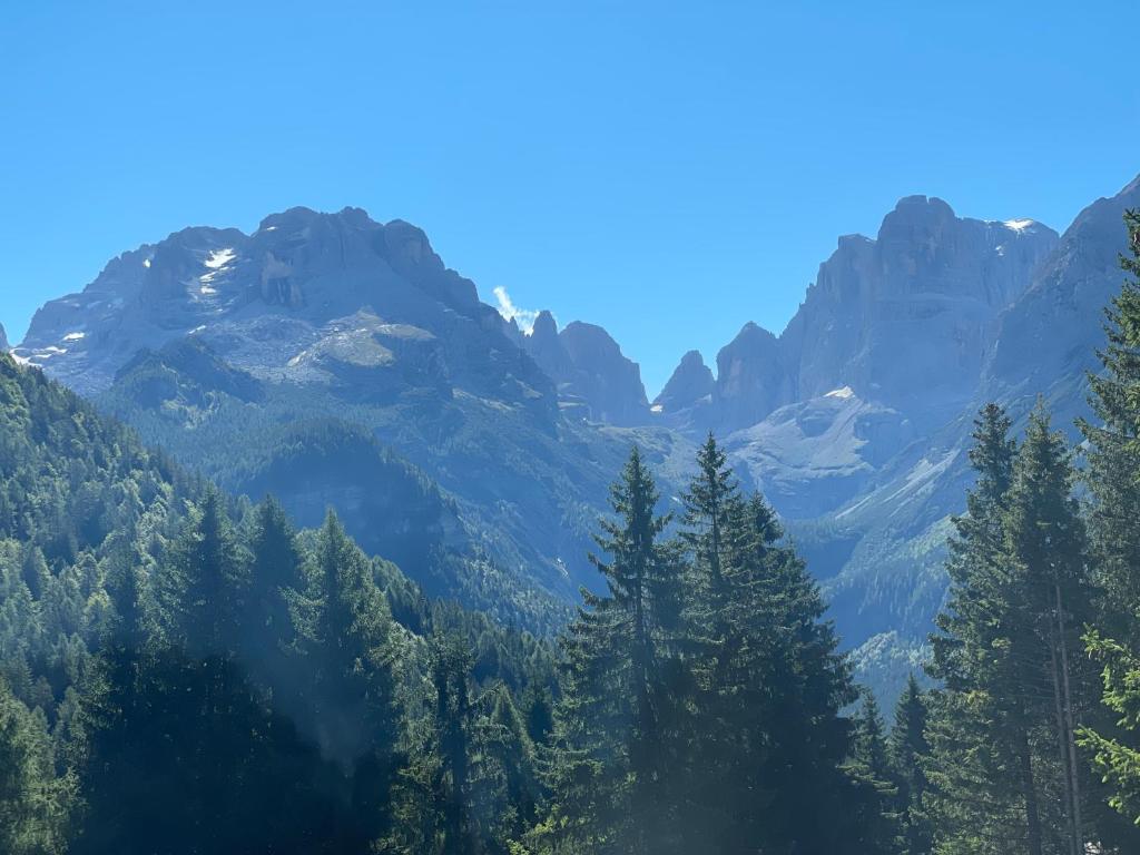 摩德纳迪-坎皮格里奥CAMPIGLIO Panorama sul Brenta的享有山脉、树木和山脉的美景