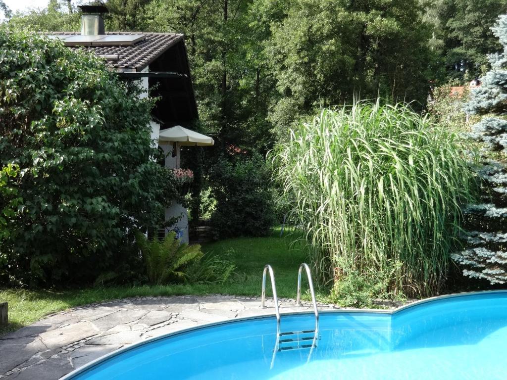 基姆湖畔普林Gästehaus Ehrlich的花园内的游泳池,带房子