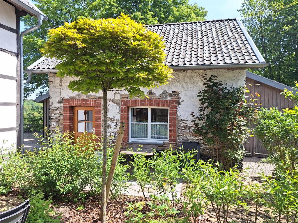 罗埃特根Ferienhaus Altes Backhaus的前院有树的小房子