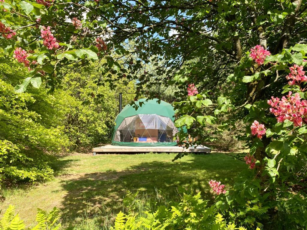 奥特罗Stay Classy - Domes的花园中种满鲜花的帐篷