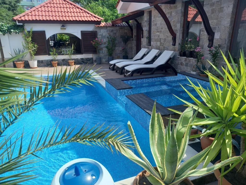 维丁Stariya oreh pool & garden的庭院内带躺椅和植物的游泳池