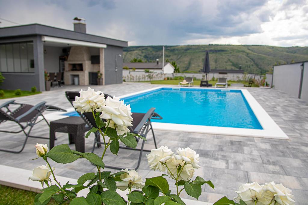 莫斯塔尔Villa Vukas的一座房子前面的游泳池,上面有白色玫瑰花