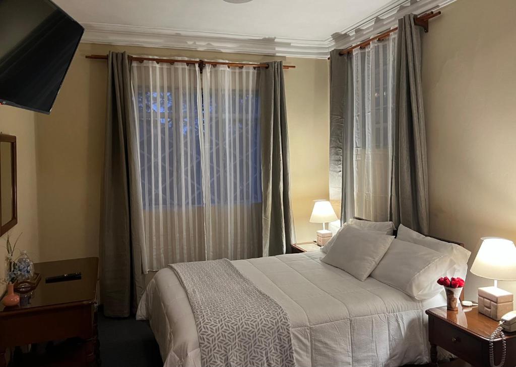 阿雷基帕El Balcon Hostal Turistico的一间卧室设有一张床和一个大窗户