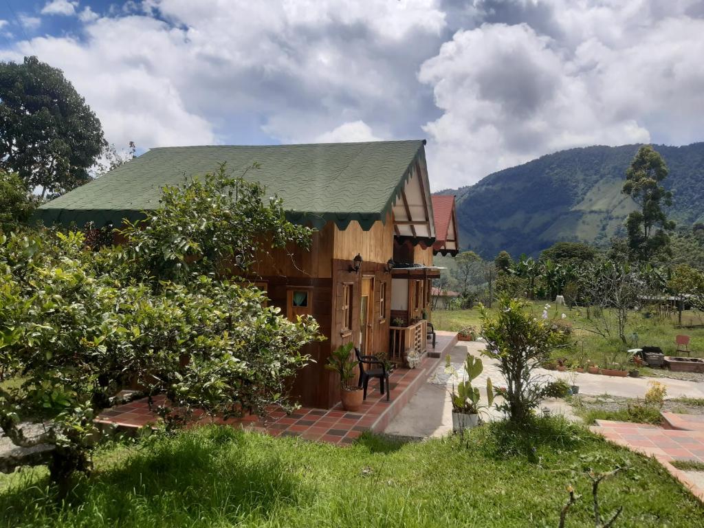 贾丁Cabañas Limón y Manzana en Finca Maracuba的山地绿色屋顶度假屋