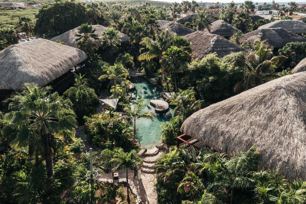 威廉斯塔德康提基海滩度假酒店的享有度假村的空中景致,设有游泳池和棕榈树