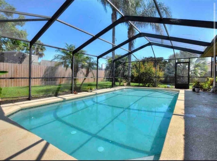 奥本代尔Florida Oasis的一座清澈蓝色的大型游泳池
