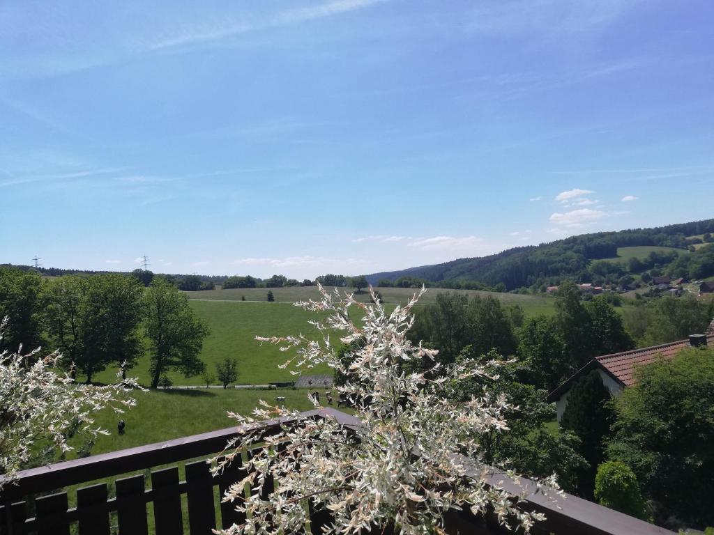 Ferienwohnung Traumblick的从带有鲜花树的房子的阳台上欣赏美景