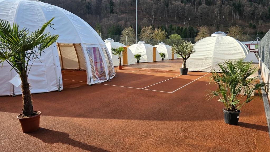 巴尔斯塔尔fitneXX Zelt-Dorf的网球场上的一排白色帐篷