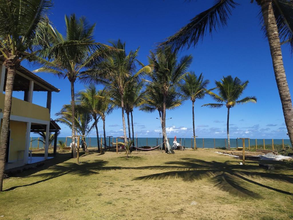 普拉杜Quintal da Praia的海滩上一棵棕榈树和大海