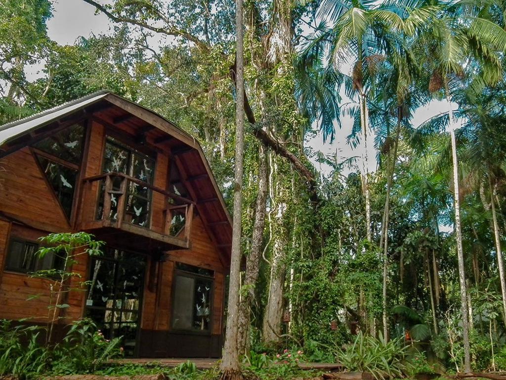 Comandante AndresitoSurucua Reserva & Ecolodge的森林中间的树屋