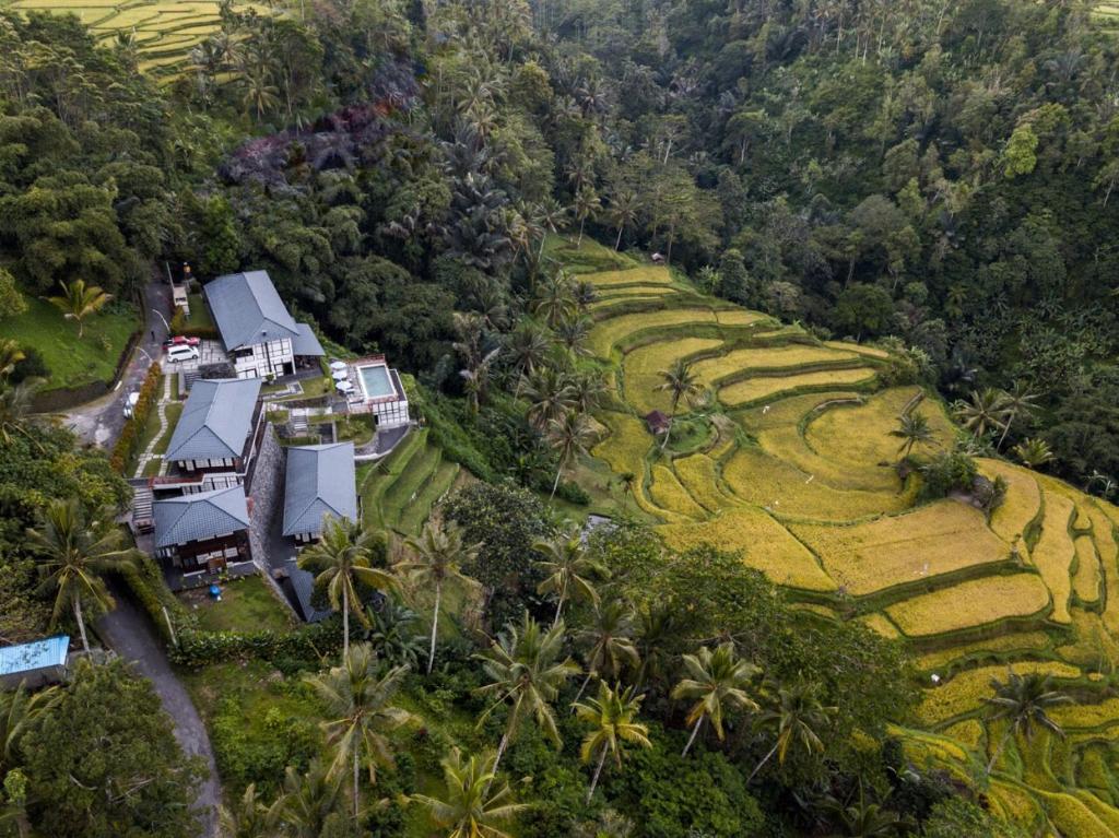 德格拉朗苏拉普拉度假村的棕榈树山丘上房屋的空中景致