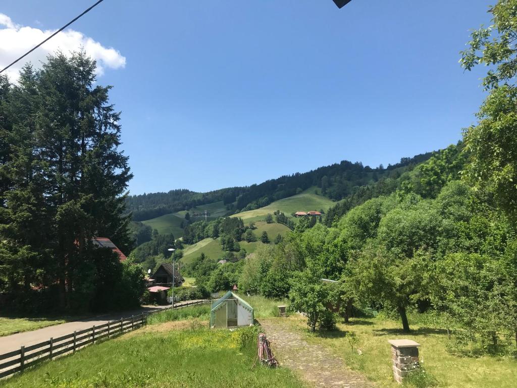 Schwarzwaldstüble的享有树木和道路的山谷美景