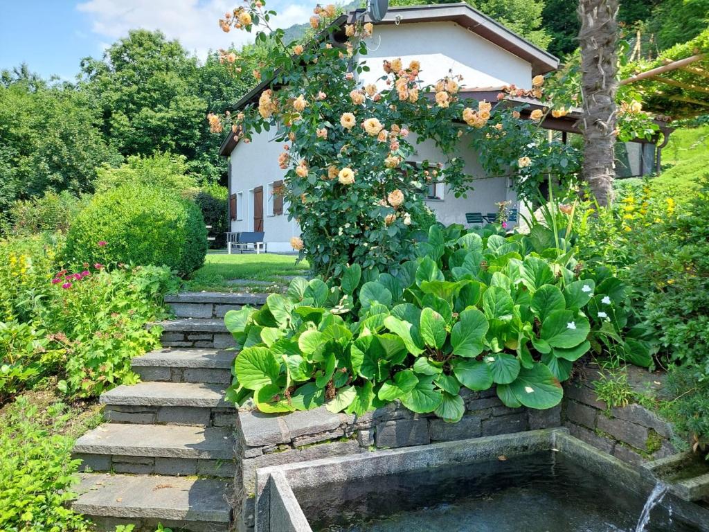 MagadinoLa Stalla的花园,带花卉和植物的挡墙