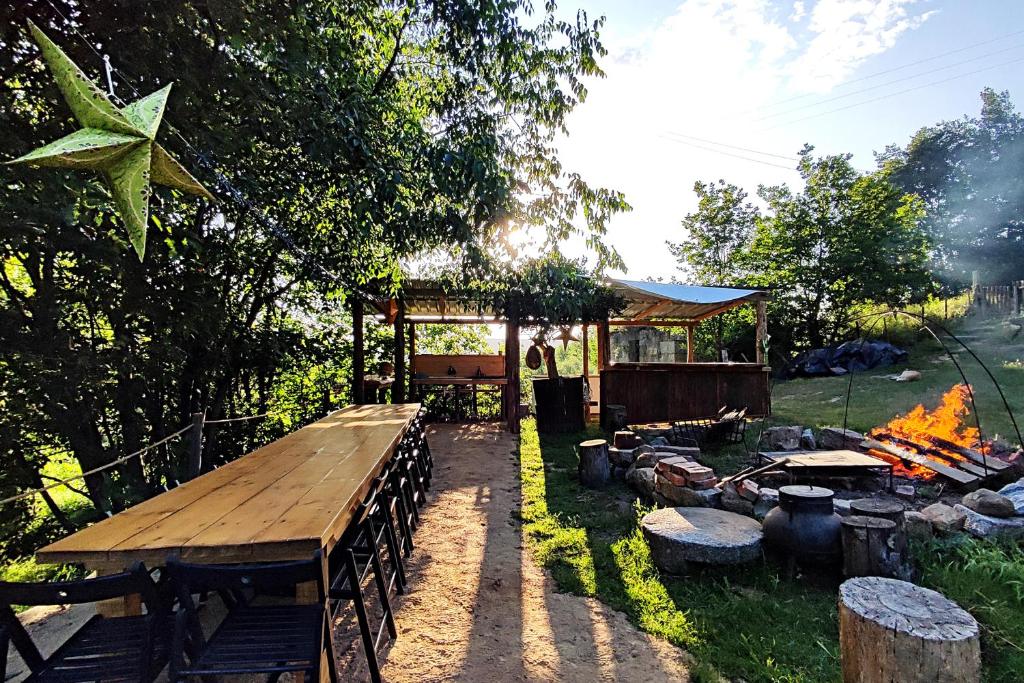 CoutoVerde Água Agroturismo e Agricultura Biológica的院子里的野餐桌和烧烤架