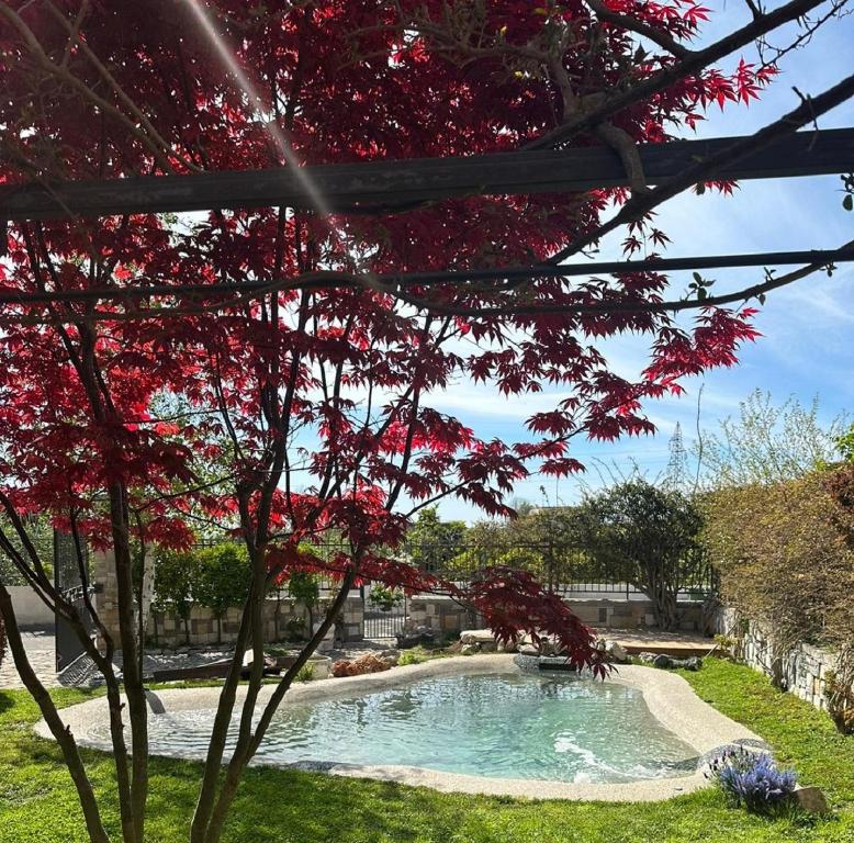 巴科利DOMUS PARVA - Villa con bio-piscina, spa privata e appartamenti panoramici的一座游泳池,位于一个有红叶树的院子内