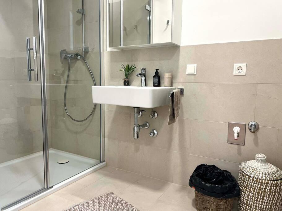 维也纳Donaublick Oasis: Stylische Wohnung的一间带水槽和淋浴的浴室