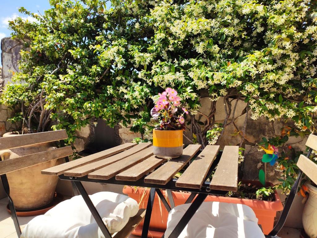 卡塞塔Vicolo degli Osci的木餐桌,上面有盆栽植物