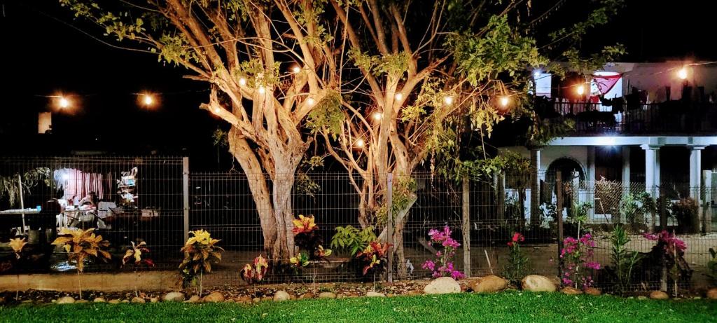 Brisas de ZicatelaMangal Suites的鲜花围栏前的树