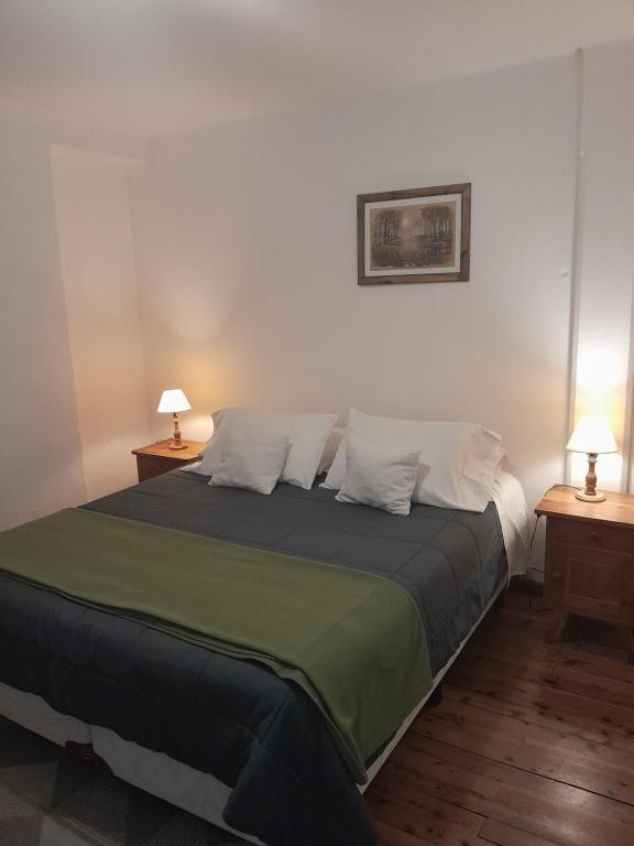 圣卡洛斯-德巴里洛切Astoria Patagonia habitaciones privadas的一间卧室配有一张带2个床头柜的大床