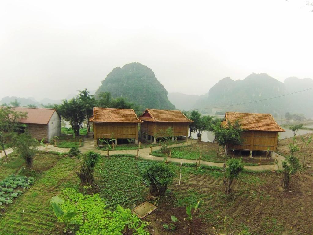 Xuân SơnTrang An Lim Garden的一组以山为背景的房屋