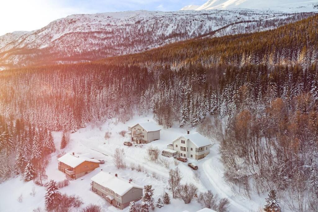 灵塞德Main floor in the Lyngen Alps, whole house rentable的雪中房屋的空中景观